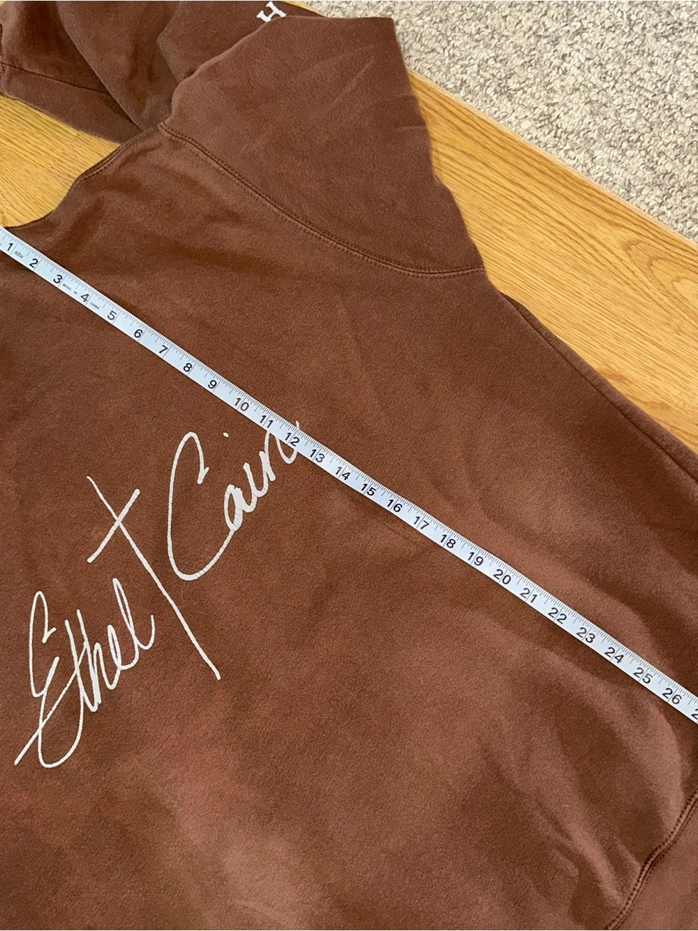 Ethel Cain Preachers Daughter Album Exclusive Hoodie - Picture 7 of 8